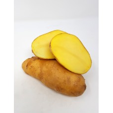 Kartoffel speckig AT  (KG)